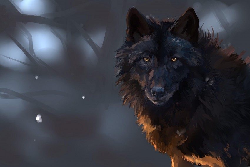 Black Wolf Background Full HD Wallpaper Download