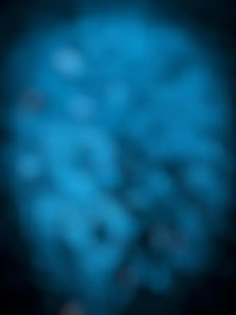 Blue Smoke CB Background Full HD Download