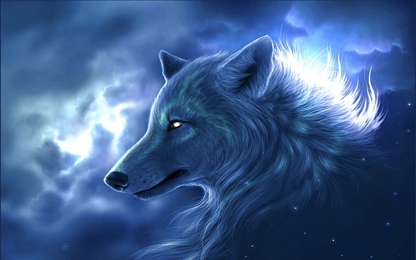 Blue Wolf Background Full HD Wallpaper Download
