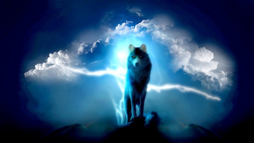 Blue Wolf Background Full HD Wallpaper Download