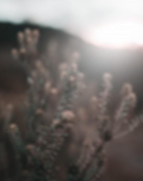 Blur Background High Resolution  Download