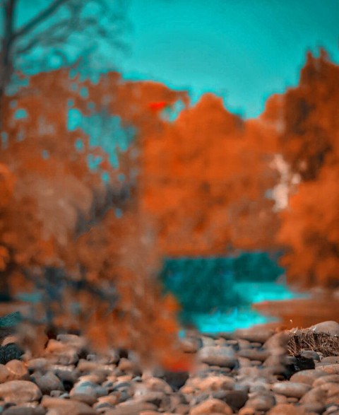 Blur CB Picsart Editing HD Background Download