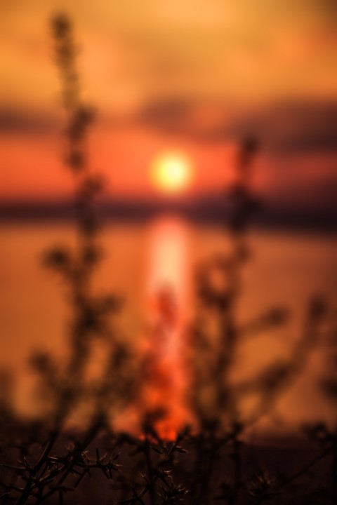 Blur DSLR Sunset Photography Background Full HD Download - CBEditz