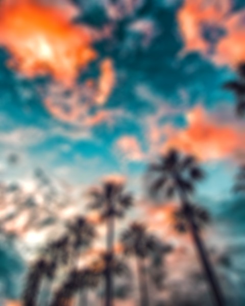Blur Palm Tree Blue Sky CB Picsart Background Download