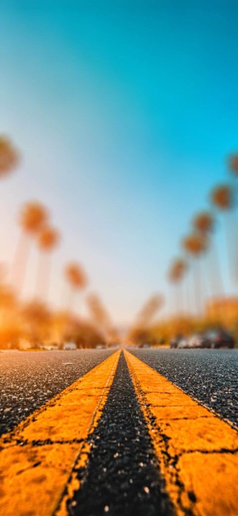 Blur Palm Tree Road CB Picsart Background Download