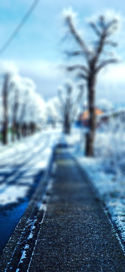 Nature Road Blur Picsart Editing Background Full Hd Download Cbeditz