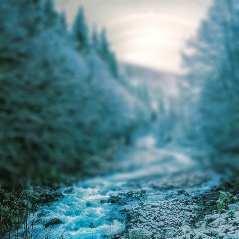 Thumbail Of Blur Winter Background
