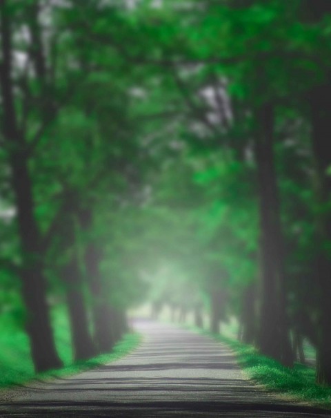 Blurred Green Editing PicsaArt Background Full HD Download