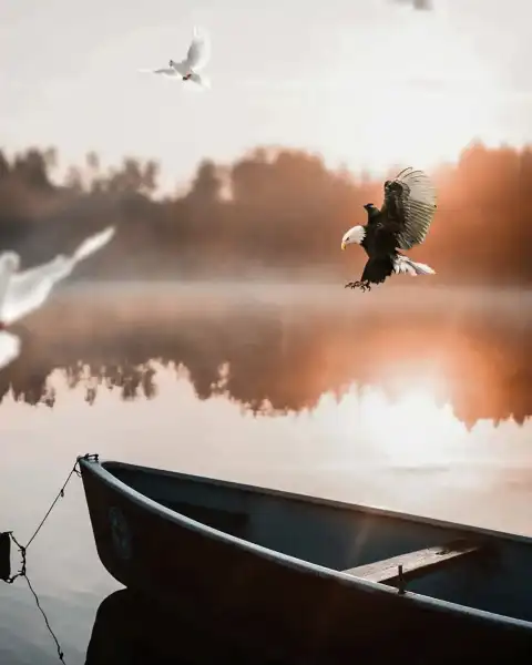 Boat Flying Eagle Picsart Background HD Download