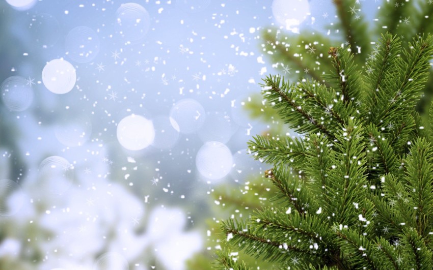 Bokeh Christmas Tree Background HD Download
