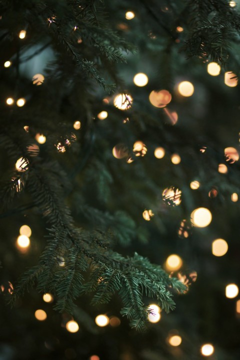 Bokeh Light Christmas Tree Background HD Download