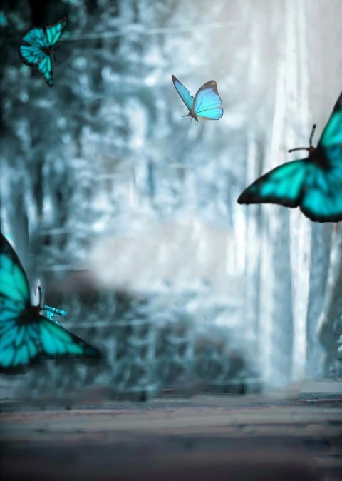 Butterfly CB Editing Background Free Download