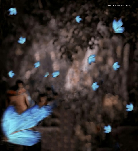 Butterfly Dark Blur Editing  CB Background
