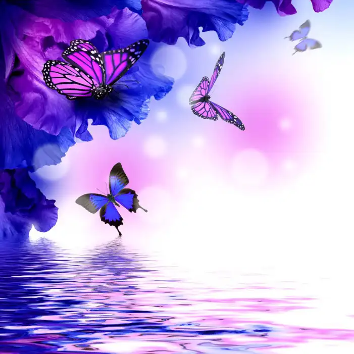 🔥 Butterfly Flying Over Water Background HD Images | CBEditz