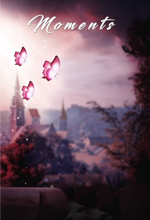 Butterfly Picsart Background  Full Hd