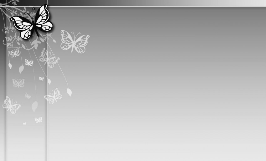 Butterfly With PowerPoint Background Images