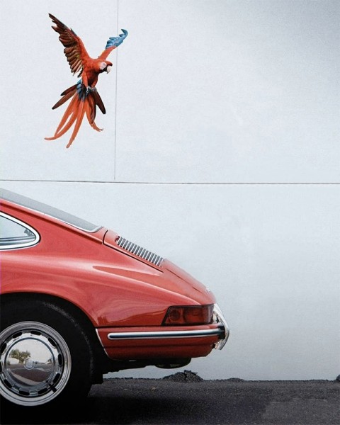 Car CB Background With Bird