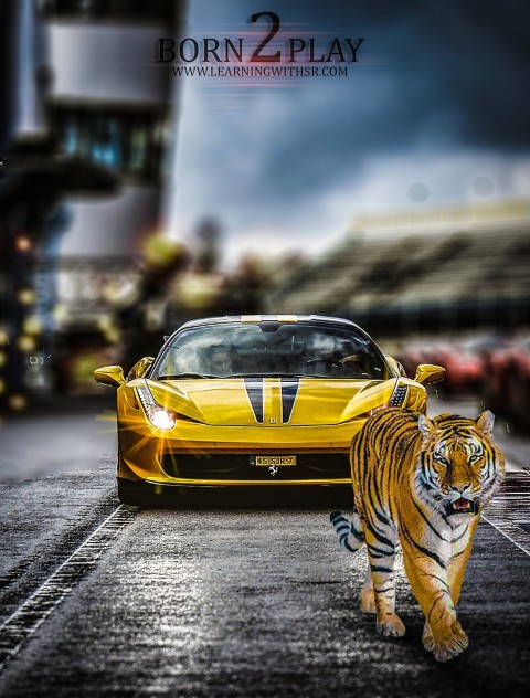 Car With Tiger CB Background Download