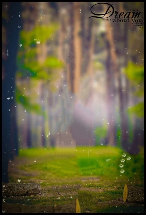 Forest CB Background For Picsart Editing