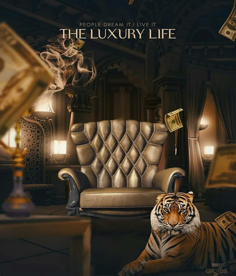 CB Background With Chair And Tiger