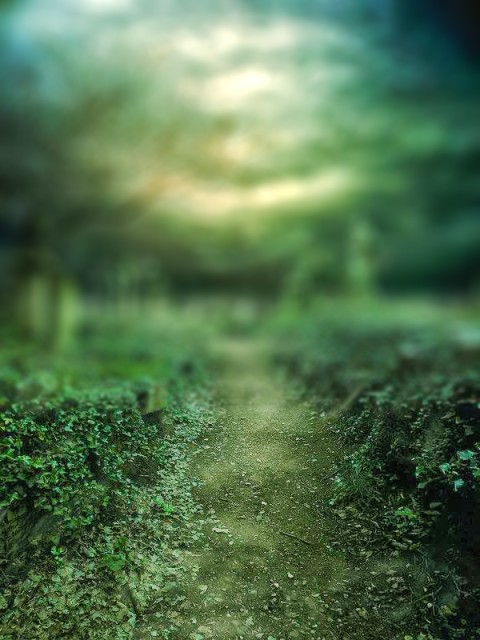 CB Editing Green Nature Blur Background Full HD Download