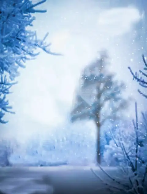CB Winter Forest Background Full HD Download