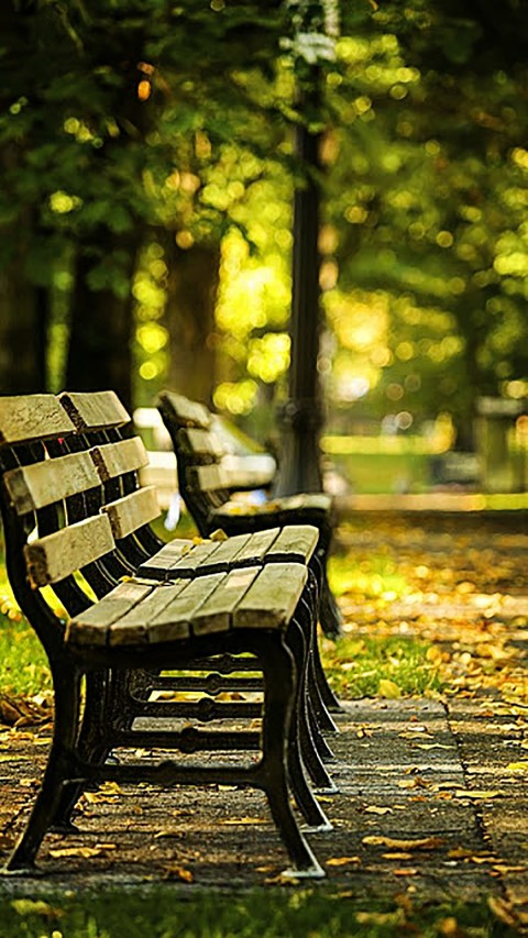 Chair In Park CB Editing Background Full HD Download
