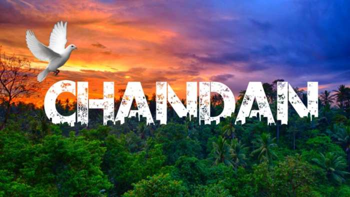 Chandan Projects :: Photos, videos, logos, illustrations and branding ::  Behance