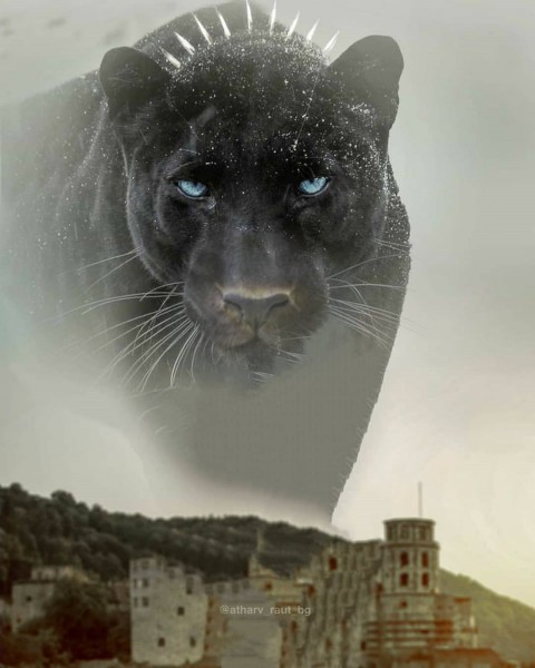 Black Panther  PicsArt Photo Editing Background Full hd
