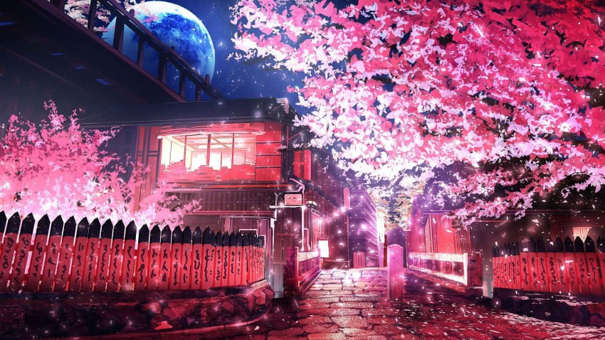 Cherry Blossom Tree Photo Background HD Download