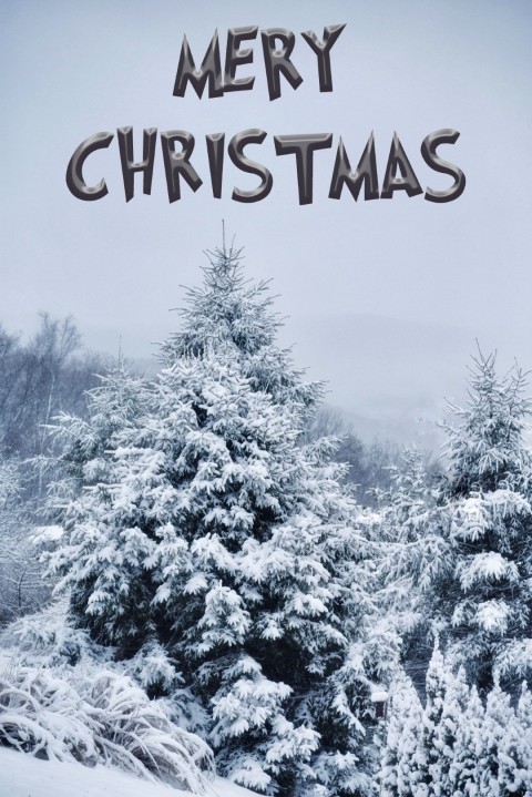 Christmas Day Tree Editing  CB PicsArt Background