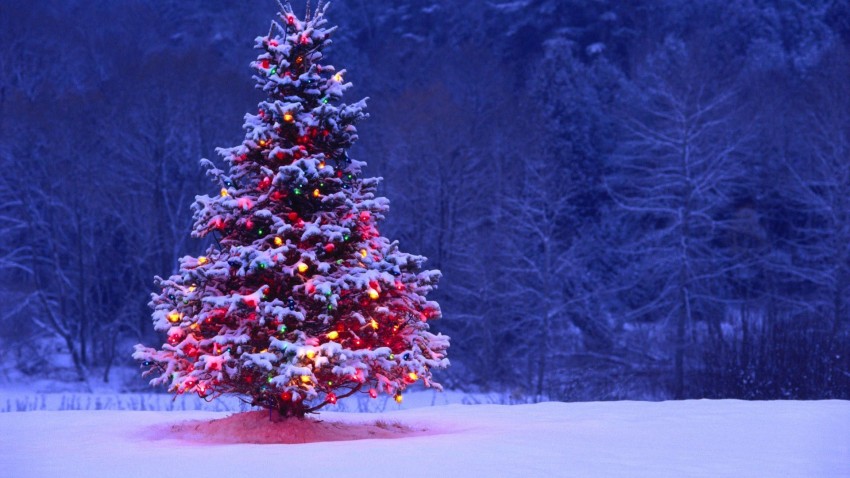 Christmas Tree Background Full HD Download