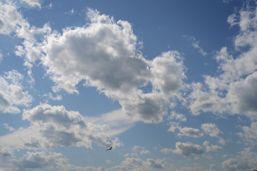 Cloud Sky Background Full HD Download Photos
