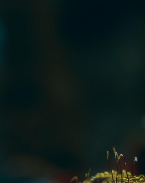 Dark Blur Background Full HD Download