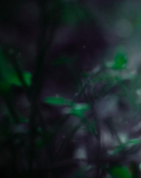 Dark Blur Background High Reslolution   Download