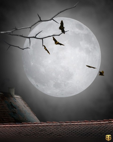 Dark Night Moon Background Download For Editing