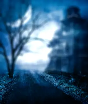 Dark Night Tree Building Snapseed Background HD Download