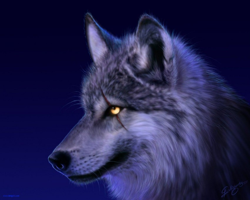 Dark Wolf Face Background Full HD Wallpaper Download