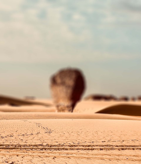 Desert Sahara CB Picsart Editing Background HD Download