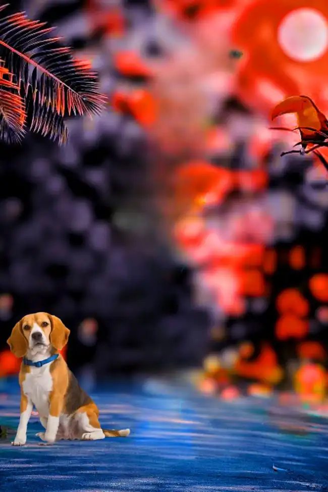 Dog CB Background HD Download For Picsart