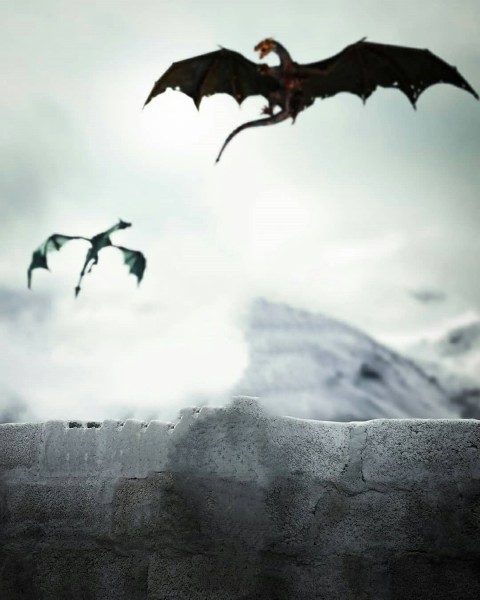 Dragon Flying PicArt Background HD Background
