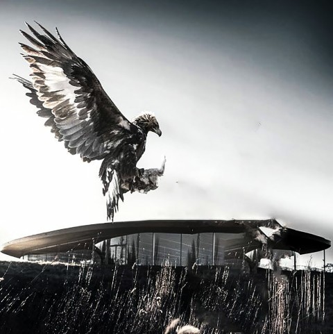 Eagle CB Editing Background Full HD Download
