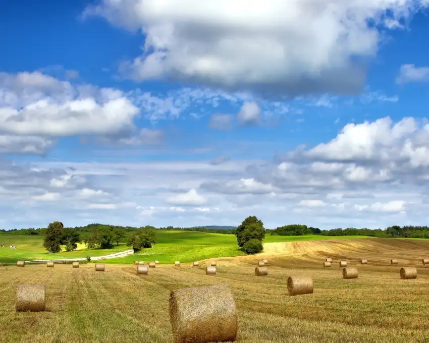 Farm Field Photoshop Background HD Download