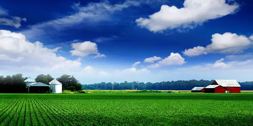 Farm Field With Blue Sky Background HD Download