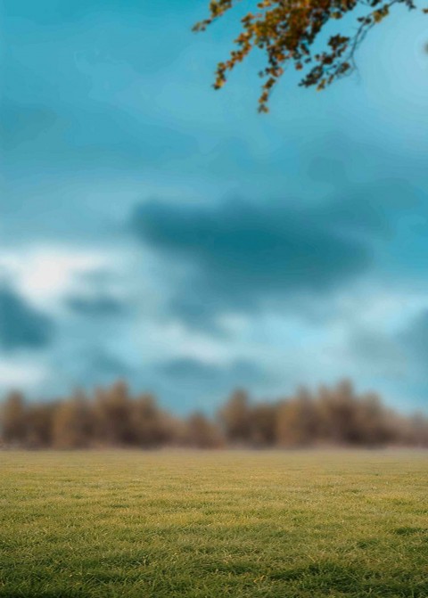Field With Sky Blur Background Full HD Download