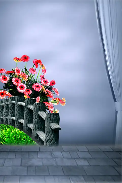 Flower Photo Studio Background HD Download