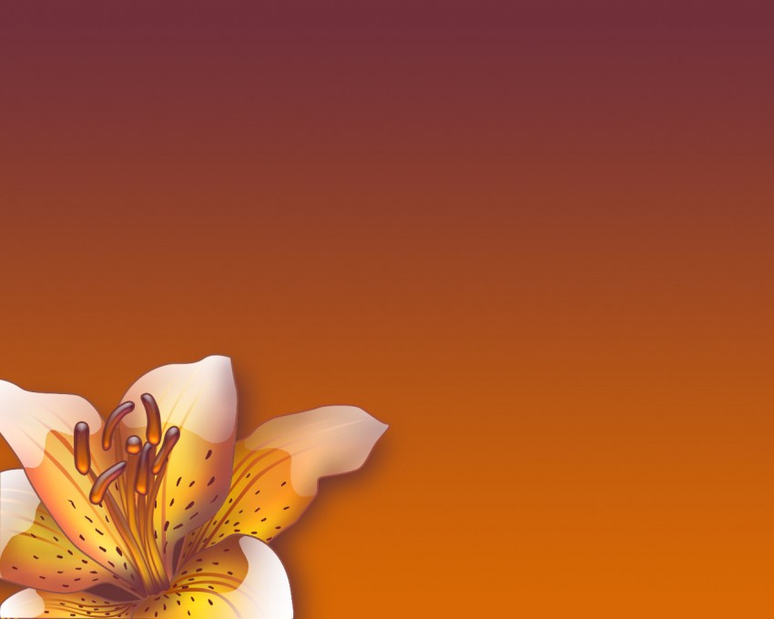 Flower PowerPoint Background  HD Download