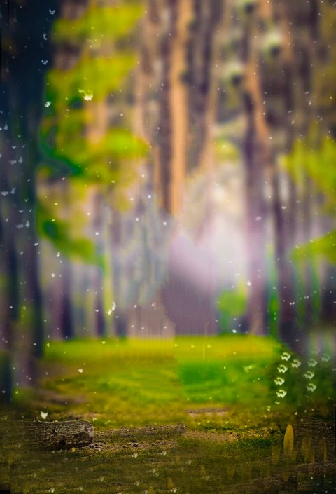 Forest Nature CB Editing Background Full HD Download