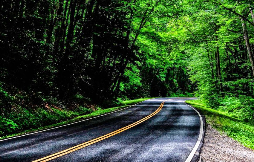 Forest Nature Road Editing Background HD Download | CBEditz