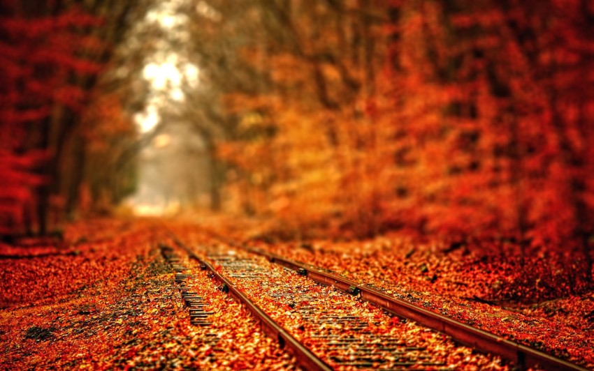 Forest Railway track CB Editing Background Full HD Download